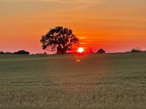 Vila Les Cypres De Crose I Badefols-sur-Dordogne Exteriér fotografie