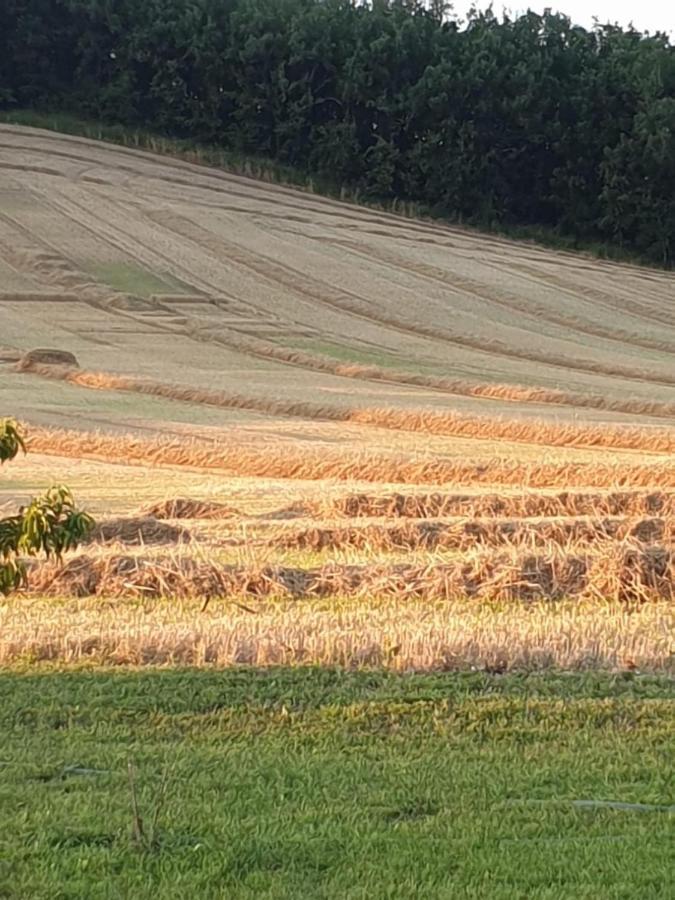 Vila Les Cypres De Crose I Badefols-sur-Dordogne Exteriér fotografie