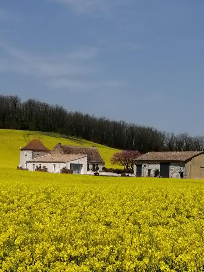 Vila Les Cypres De Crose I Badefols-sur-Dordogne Exteriér fotografie